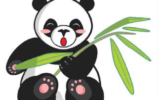 Google Update Panda