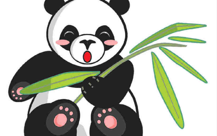 Google Update Panda