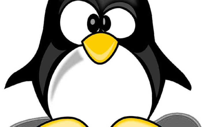 Google Update Penguin